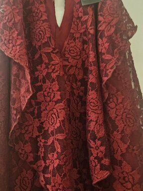 Nwt Ashley Stewart sleeveless boho lace Whimsigoth burgundy Lined Sexy tunic 1X